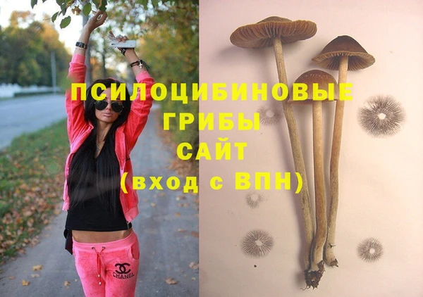 MDMA Premium VHQ Белоозёрский