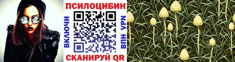 Галлюциногенные грибы Cubensis  гидра зеркало  Коряжма 