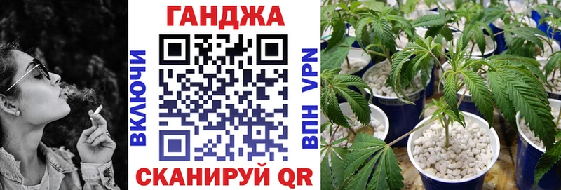 наркота  Коряжма  Канабис планчик 